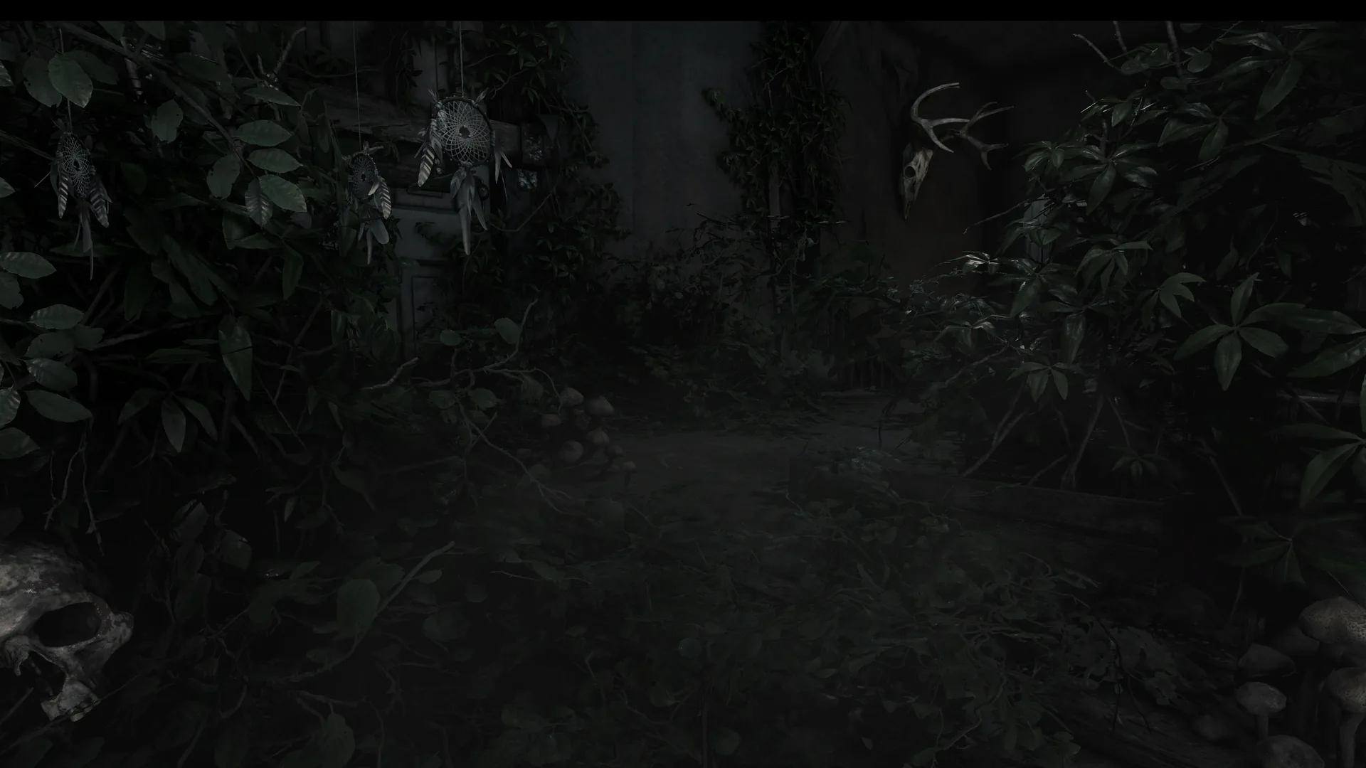 Garden of the Witch