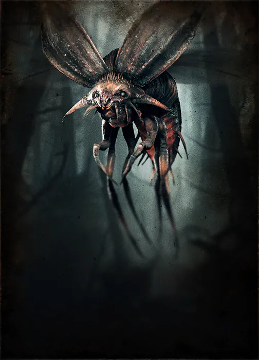 Beetle