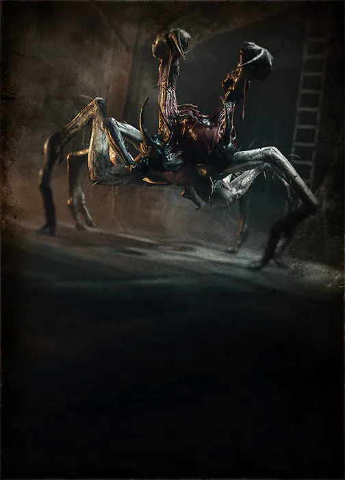The Spider